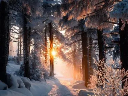 Rest In Your Radiance : Full Moon In Leo