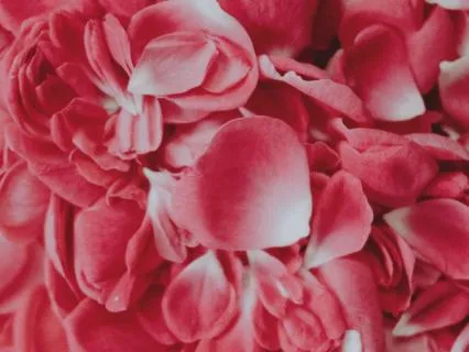 Rest Into Love: Soft Sleep Meditation