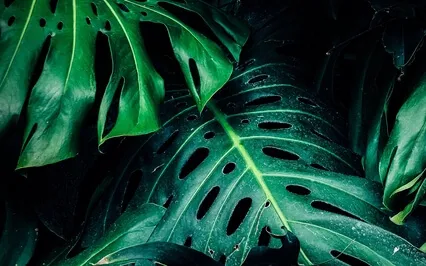 Rest Is Necessary: A Guided Meditation For Rest