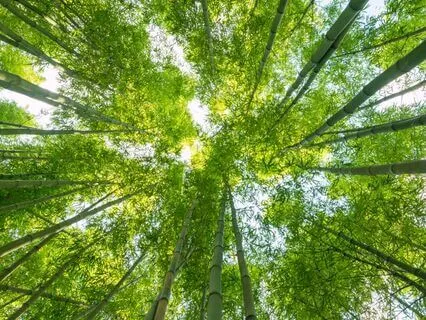 Rest Is The New Flex