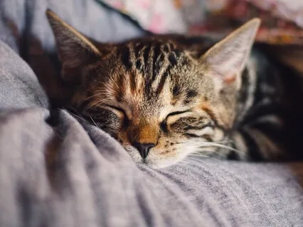 Rest, Relax and Recuperate With 4-7-8