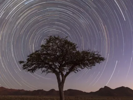 Rest. Relaxation. Rejuvenation. 