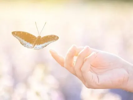 Rest, Release | Gentle Guitar, Keys, Kalimba Loops | 432 Hz