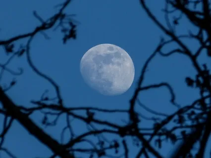 Rest Release Receive - New Moon Nidra