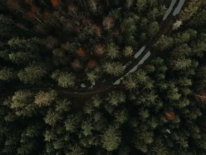 Rest, Reset, Receive