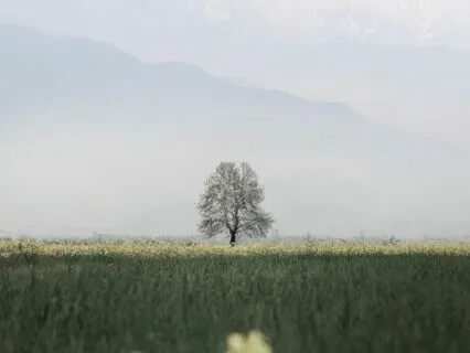 Rest & Slow Down The Mind, Body & Heart