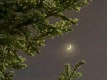 Rest Through The Night Sleep Meditation (8+ Hours)