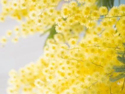 Rest To Feel Stronger - 16 Min Yoga Nidra