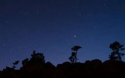 Rest Well & Goodnight