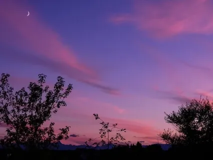 Rest Well Sleep Well