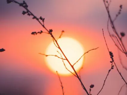 Rest When You Can't Sleep - Yoga Nidra For Mothers