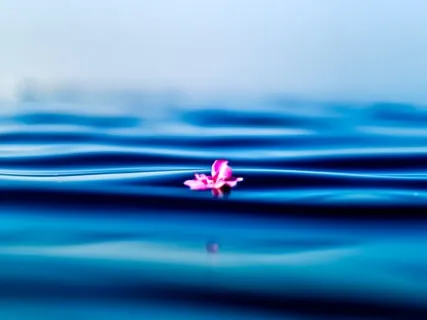 Rest With Your Breath