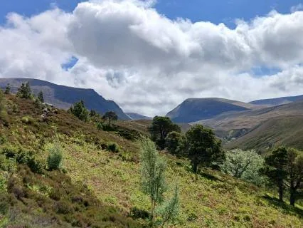 Rest Without Guilt: A Compassionate Pause (With Music)