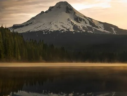 Rest Yoga Nidra Practice For Permission to Rest