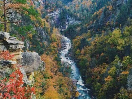 Rest Your Body And Nervous System