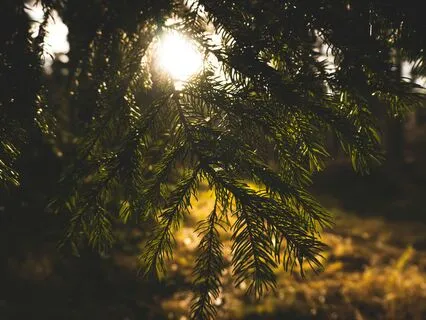 Rest Your Weary Spirit Here - A Space For You To Let Go