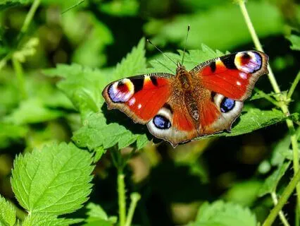Sing: Rest At The End Of The Day