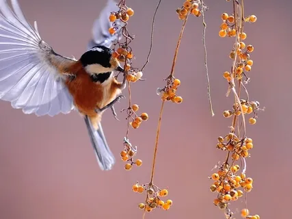 Rested Results Vs Rushed Results