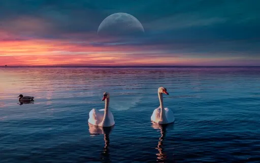 Restful & Rejuvenating Deep Sleep Meditation