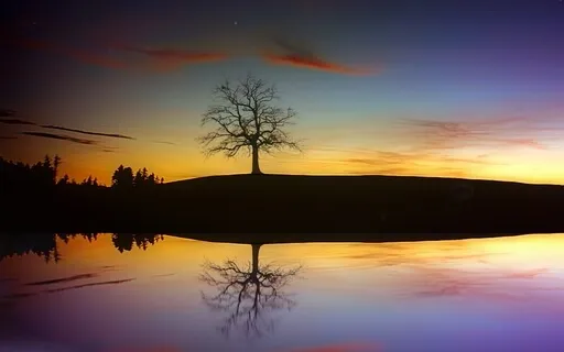 Restful Cleansing Sleep