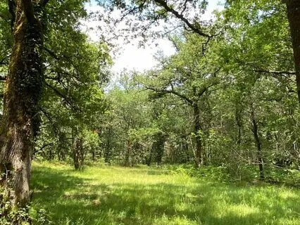 Restful Meditation In Nature