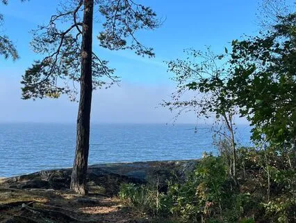 Restful Resonance – A Nordic Sound Meditation