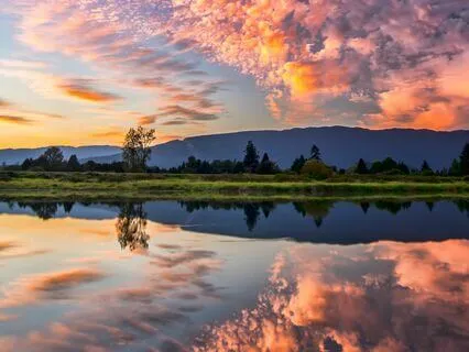 Restful Reverie - Soothing Sleep To Relieve Anxiety