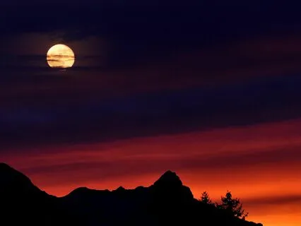 Restful Rhythms: Ease Into Sleep