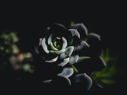 Restful Sleep For Mamas