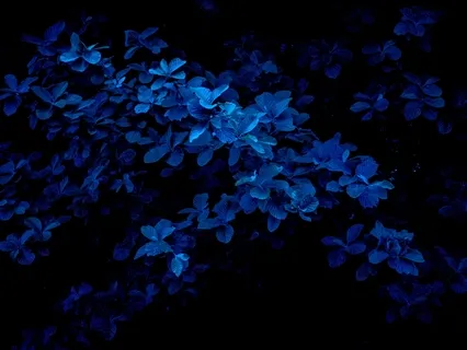 Restful Sleep With Yoga Nidra