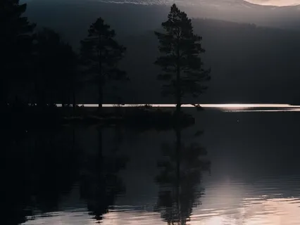 Short Yoga Nidra For A Good Night’s Sleep