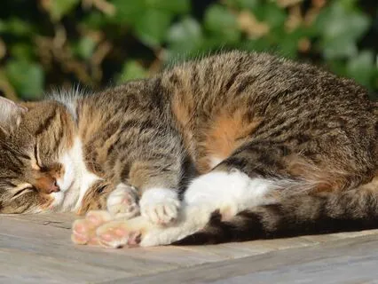 Restful Wave- Non Sleep Deep Rest Body Scan