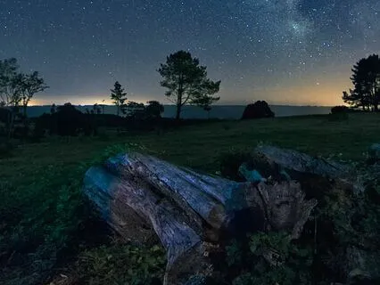 Restful Waves: Music For A Peaceful Night