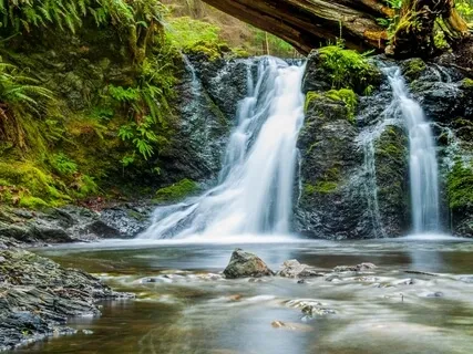 Resting (5 Minute Practice)