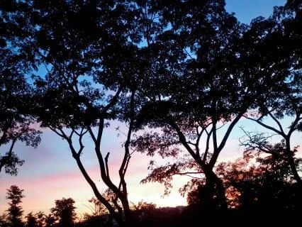 Resting Back To Balance