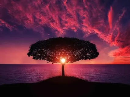 Resting In Awareness