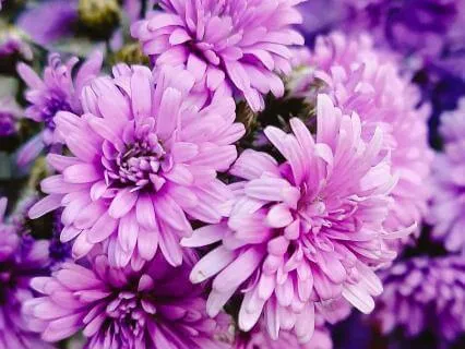 Resting In Divine Presence: A Crown Chakra Meditation