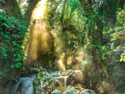 Resting In Great Mother's Embrace