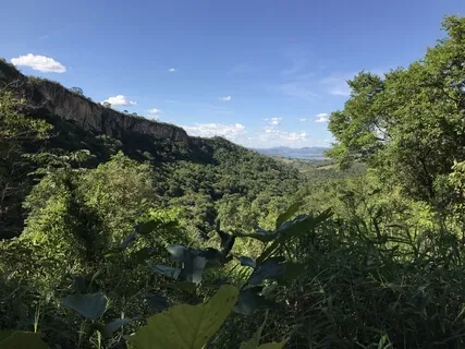 Resting In Interconnection