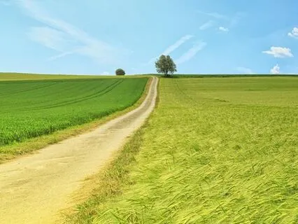 Resting In Open Awareness: For A More Easeful Mind