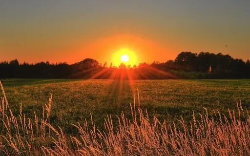 Resting In Our Aliveness