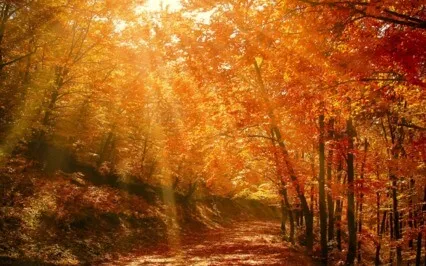 Resting In Quiet Awareness