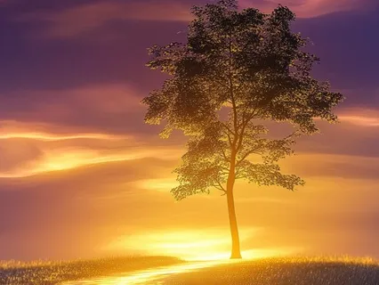 Resting In Simplicity