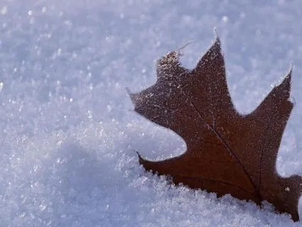 Resting In Stillness