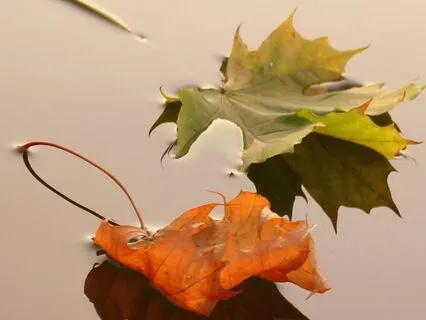 Resting In The Flow Of Experience