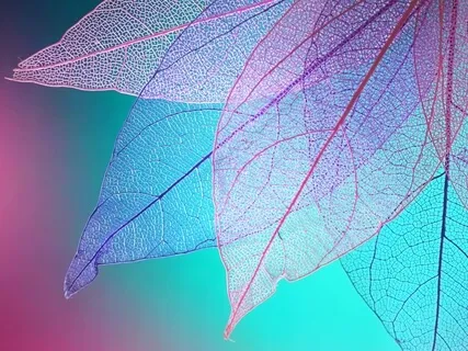 Resting In The Heart