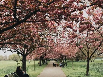 Resting In The Heart