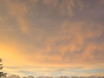 Resting In The In Between