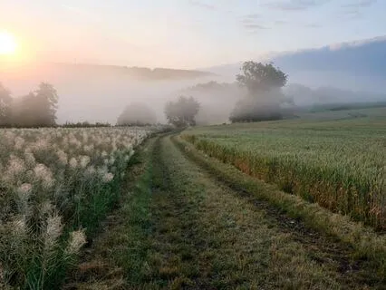 Resting In The Middle Way