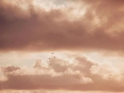 Resting In The Natural Flow Of Life